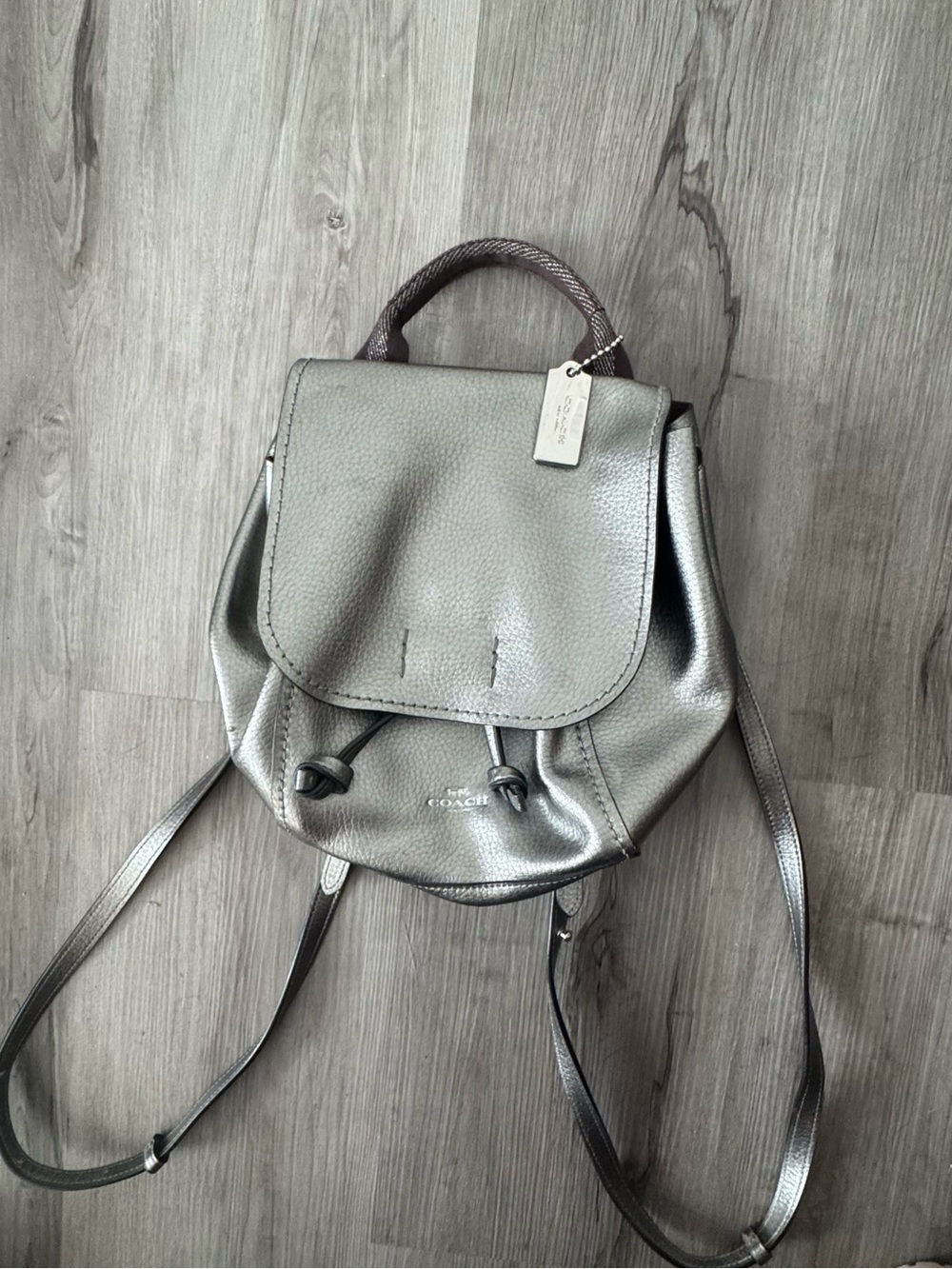 Coach Metallic Silver Leather Mini Backpack with Brown Top Handle